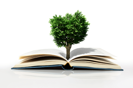 INTENSIVE COURSES