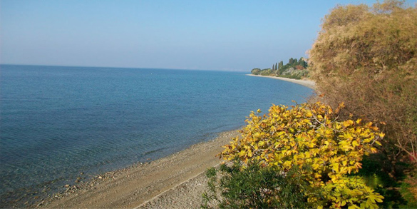 Peek at Greek goes to Evia! 1 Peek at Greek goes to Evia! - Peek at Greek - Greek language and culture school