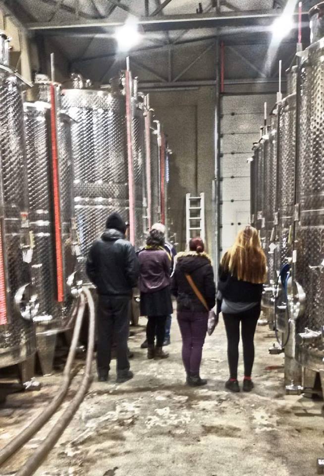 Goumenissa city- Wine tasting! - Peek at Greek - Greek language and culture school