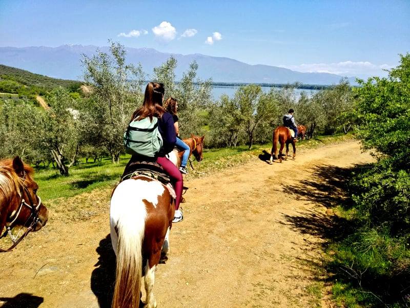 A daytrip of our school to Kerkini lake! - Peek at Greek - Greek language and culture school