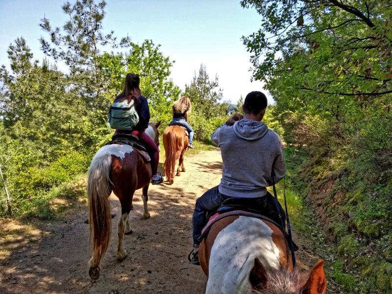 Μια ημερήσια εκδρομή του σχολείου μας στην λίμνη Κερκίνη! - Peek at Greek - Greek language and culture school